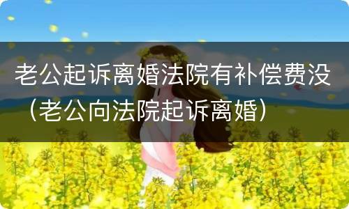 老公起诉离婚法院有补偿费没（老公向法院起诉离婚）