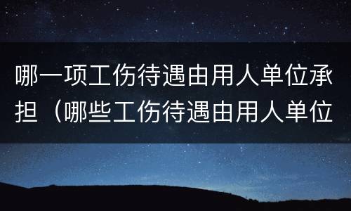 哪一项工伤待遇由用人单位承担（哪些工伤待遇由用人单位支付）