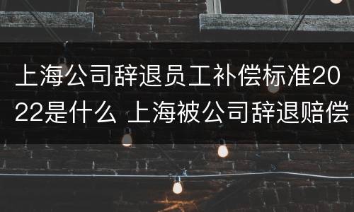 上海公司辞退员工补偿标准2022是什么 上海被公司辞退赔偿标准