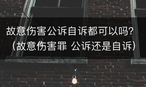 故意伤害公诉自诉都可以吗？（故意伤害罪 公诉还是自诉）