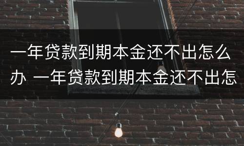 一年贷款到期本金还不出怎么办 一年贷款到期本金还不出怎么办理
