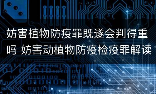 妨害植物防疫罪既遂会判得重吗 妨害动植物防疫检疫罪解读
