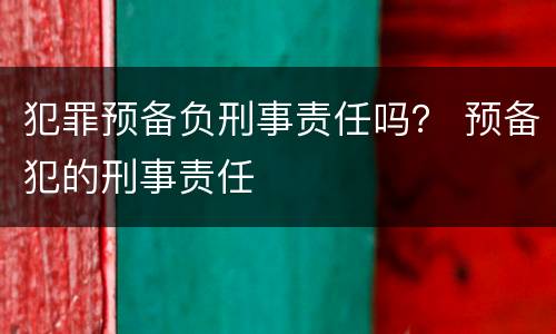 犯罪预备负刑事责任吗？ 预备犯的刑事责任
