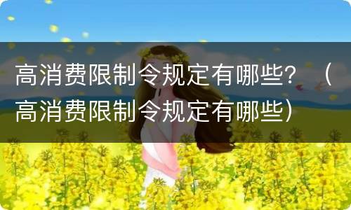 高消费限制令规定有哪些？（高消费限制令规定有哪些）