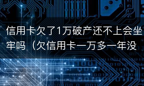 信用卡欠了1万破产还不上会坐牢吗（欠信用卡一万多一年没还会不会坐牢）