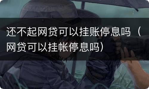 还不起网贷可以挂账停息吗（网贷可以挂帐停息吗）