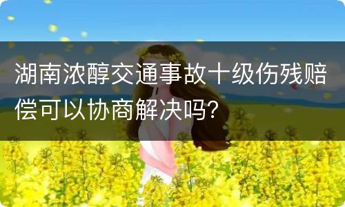 湖南浓醇交通事故十级伤残赔偿可以协商解决吗？