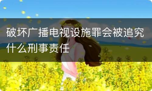 破坏广播电视设施罪会被追究什么刑事责任