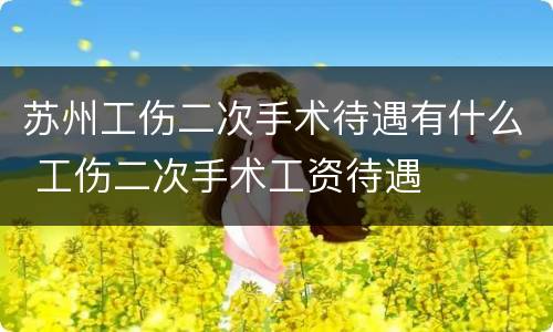 苏州工伤二次手术待遇有什么 工伤二次手术工资待遇