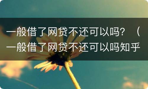 一般借了网贷不还可以吗？（一般借了网贷不还可以吗知乎）