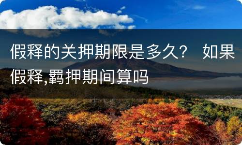 假释的关押期限是多久？ 如果假释,羁押期间算吗