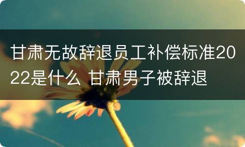 甘肃无故辞退员工补偿标准2022是什么 甘肃男子被辞退