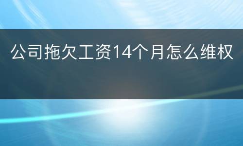 公司拖欠工资14个月怎么维权