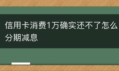 信用卡消费1万确实还不了怎么分期减息