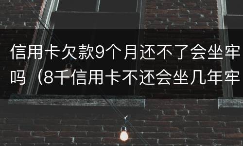 信用卡欠款9个月还不了会坐牢吗（8千信用卡不还会坐几年牢）