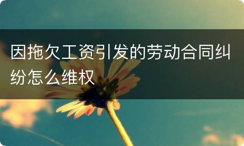 因拖欠工资引发的劳动合同纠纷怎么维权