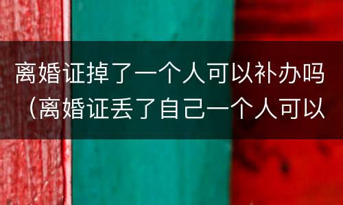 离婚证掉了一个人可以补办吗（离婚证丢了自己一个人可以补办吗）
