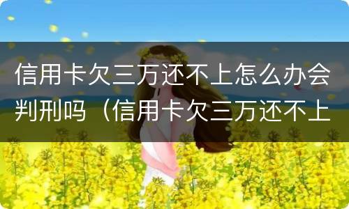 信用卡欠三万还不上怎么办会判刑吗（信用卡欠三万还不上怎么办会判刑吗视频）