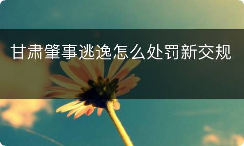 甘肃肇事逃逸怎么处罚新交规