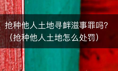 抢种他人土地寻衅滋事罪吗？（抢种他人土地怎么处罚）