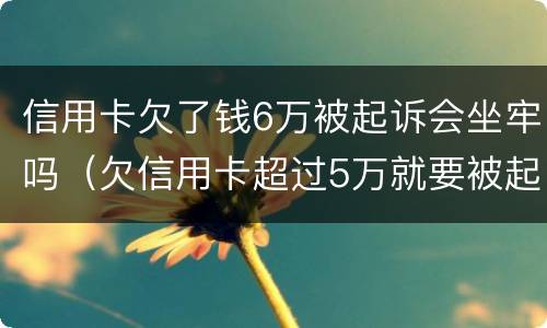 信用卡欠了钱6万被起诉会坐牢吗（欠信用卡超过5万就要被起诉坐牢吗?）
