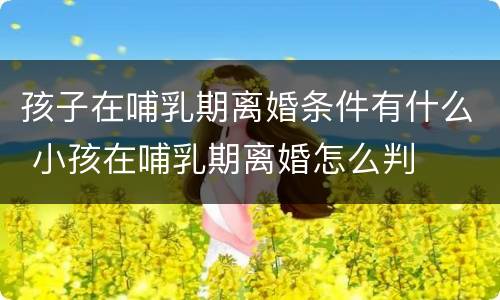 孩子在哺乳期离婚条件有什么 小孩在哺乳期离婚怎么判