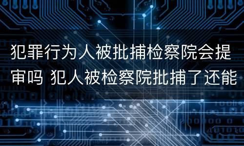 犯罪行为人被批捕检察院会提审吗 犯人被检察院批捕了还能取保吗