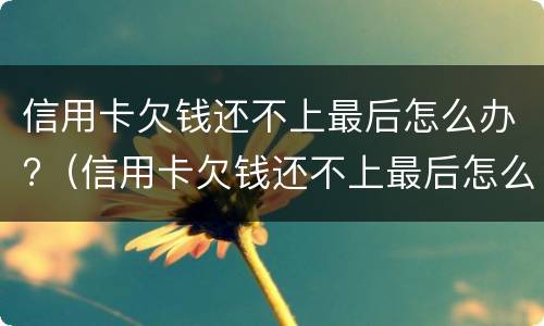 信用卡欠钱还不上最后怎么办?（信用卡欠钱还不上最后怎么办了）