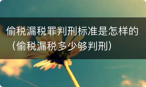 偷税漏税罪判刑标准是怎样的（偷税漏税多少够判刑）