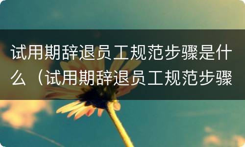 试用期辞退员工规范步骤是什么（试用期辞退员工规范步骤是什么意思）