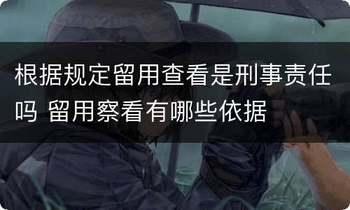 根据规定留用查看是刑事责任吗 留用察看有哪些依据