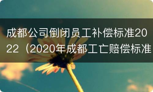 成都公司倒闭员工补偿标准2022（2020年成都工亡赔偿标准）