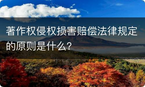 著作权侵权损害赔偿法律规定的原则是什么？