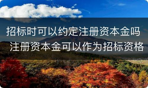 招标时可以约定注册资本金吗 注册资本金可以作为招标资格条件吗