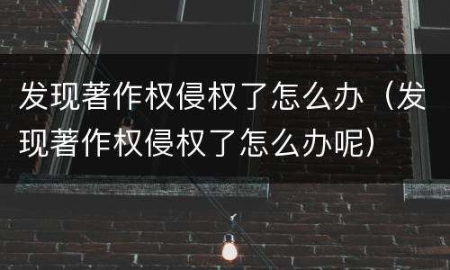 发现著作权侵权了怎么办（发现著作权侵权了怎么办呢）