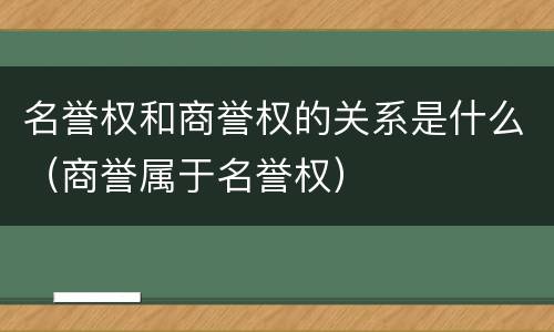 名誉权和商誉权的关系是什么（商誉属于名誉权）
