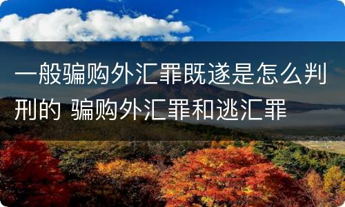 一般骗购外汇罪既遂是怎么判刑的 骗购外汇罪和逃汇罪