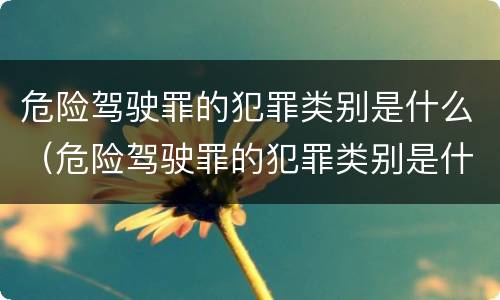 危险驾驶罪的犯罪类别是什么（危险驾驶罪的犯罪类别是什么）