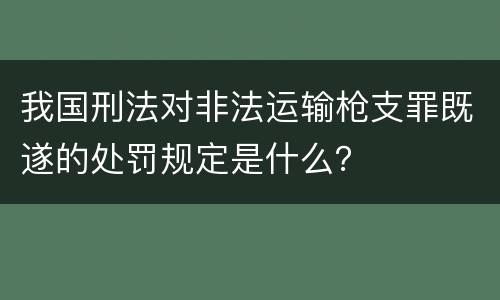 我国刑法对非法运输枪支罪既遂的处罚规定是什么？