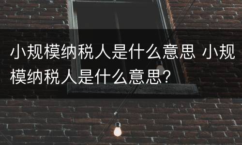 小规模纳税人是什么意思 小规模纳税人是什么意思?