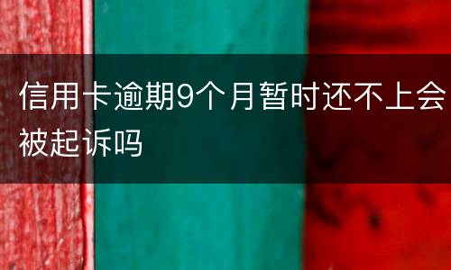 信用卡逾期9个月暂时还不上会被起诉吗