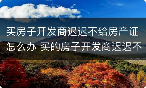 买房子开发商迟迟不给房产证怎么办 买的房子开发商迟迟不办房产证