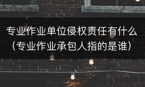 专业作业单位侵权责任有什么（专业作业承包人指的是谁）