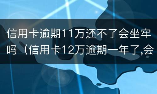 信用卡逾期11万还不了会坐牢吗（信用卡12万逾期一年了,会不会坐牢）