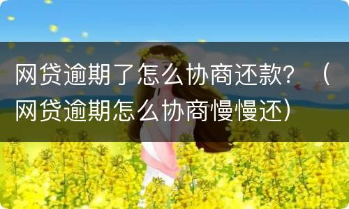 网贷逾期了怎么协商还款？（网贷逾期怎么协商慢慢还）