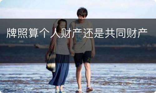 牌照算个人财产还是共同财产