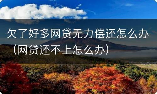 欠了好多网贷无力偿还怎么办（网贷还不上怎么办）