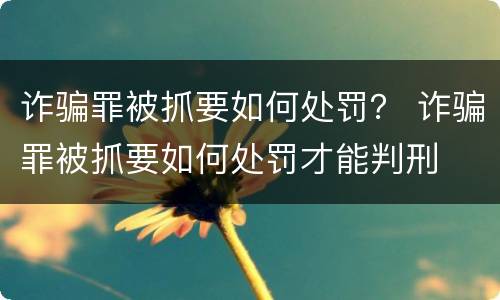 诈骗罪被抓要如何处罚？ 诈骗罪被抓要如何处罚才能判刑