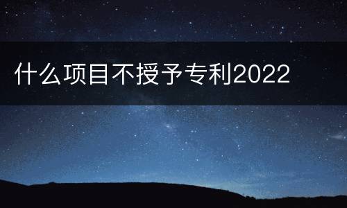 什么项目不授予专利2022