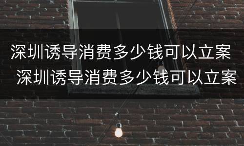 深圳诱导消费多少钱可以立案 深圳诱导消费多少钱可以立案侦查